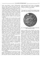 giornale/TO00190201/1939-1940/unico/00000031