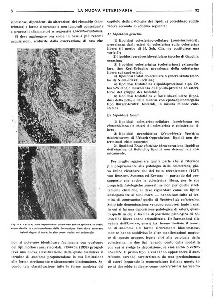 La nuova veterinaria rivista mensile fondata e diretta da Alessandro Lanfranchi