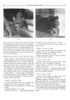 giornale/TO00190201/1939-1940/unico/00000207
