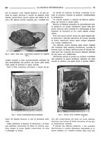 giornale/TO00190201/1939-1940/unico/00000261