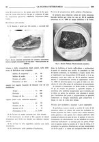 giornale/TO00190201/1939-1940/unico/00000262