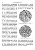 giornale/TO00190201/1939-1940/unico/00000281