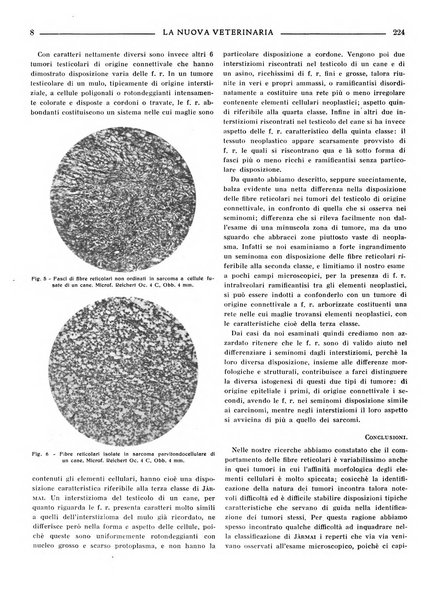 La nuova veterinaria rivista mensile fondata e diretta da Alessandro Lanfranchi