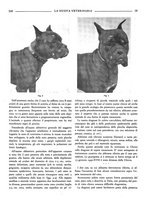 giornale/TO00190201/1939-1940/unico/00000293