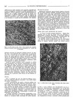 giornale/TO00190201/1939-1940/unico/00000309
