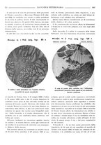 giornale/TO00190201/1939-1940/unico/00000324