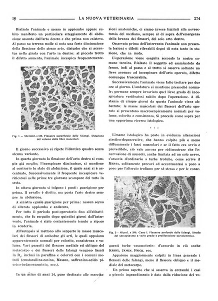 La nuova veterinaria rivista mensile fondata e diretta da Alessandro Lanfranchi