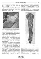 giornale/TO00190201/1939/unico/00000035