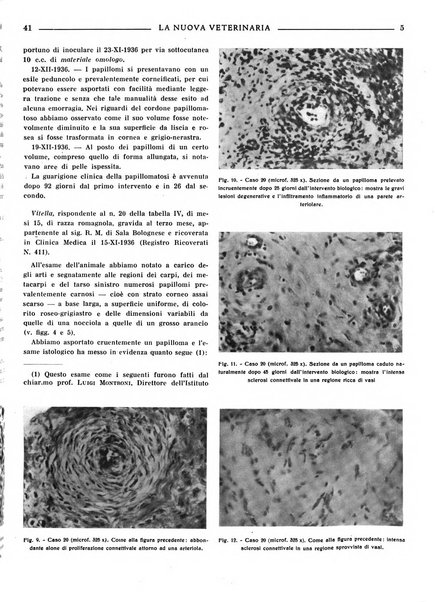 La nuova veterinaria rivista mensile fondata e diretta da Alessandro Lanfranchi