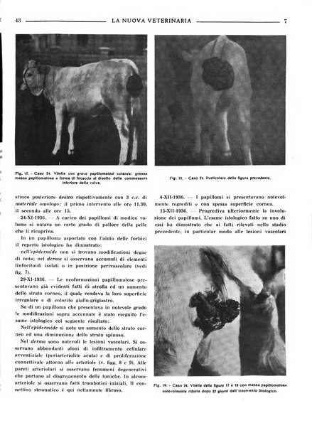 La nuova veterinaria rivista mensile fondata e diretta da Alessandro Lanfranchi