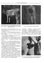 giornale/TO00190201/1939/unico/00000061