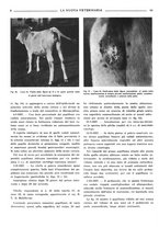 giornale/TO00190201/1939/unico/00000062