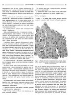 giornale/TO00190201/1939/unico/00000067