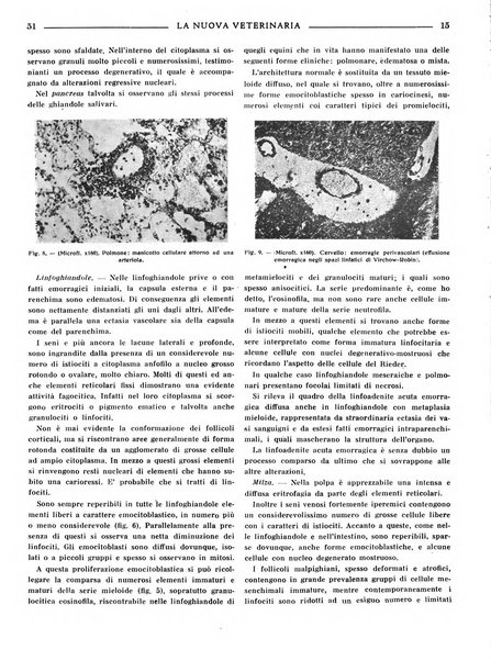 La nuova veterinaria rivista mensile fondata e diretta da Alessandro Lanfranchi