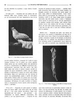 giornale/TO00190201/1939/unico/00000080