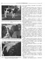 giornale/TO00190201/1939/unico/00000097