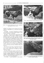 giornale/TO00190201/1939/unico/00000100