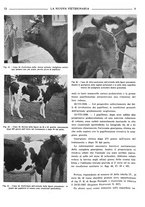 giornale/TO00190201/1939/unico/00000101