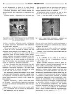 giornale/TO00190201/1939/unico/00000113