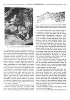 giornale/TO00190201/1939/unico/00000146