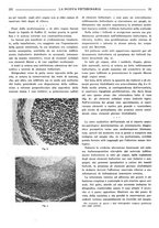 giornale/TO00190201/1939/unico/00000163