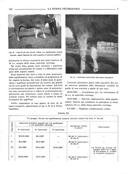 La nuova veterinaria rivista mensile fondata e diretta da Alessandro Lanfranchi