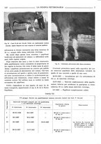 giornale/TO00190201/1939/unico/00000183