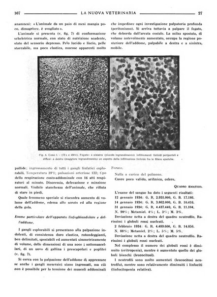 La nuova veterinaria rivista mensile fondata e diretta da Alessandro Lanfranchi