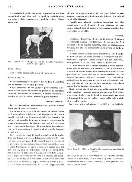 La nuova veterinaria rivista mensile fondata e diretta da Alessandro Lanfranchi