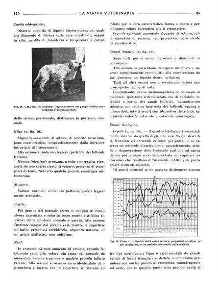 La nuova veterinaria rivista mensile fondata e diretta da Alessandro Lanfranchi