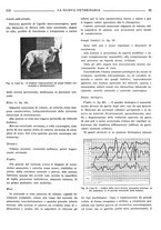 giornale/TO00190201/1939/unico/00000213