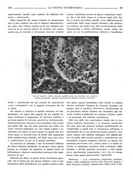 La nuova veterinaria rivista mensile fondata e diretta da Alessandro Lanfranchi