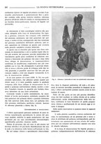 giornale/TO00190201/1939/unico/00000249