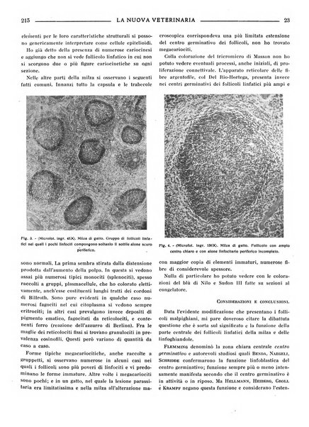 La nuova veterinaria rivista mensile fondata e diretta da Alessandro Lanfranchi