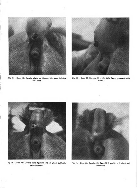 La nuova veterinaria rivista mensile fondata e diretta da Alessandro Lanfranchi