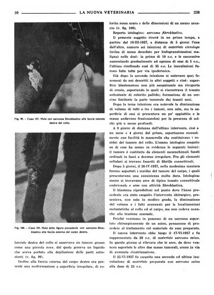 La nuova veterinaria rivista mensile fondata e diretta da Alessandro Lanfranchi