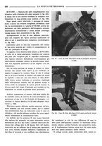 giornale/TO00190201/1939/unico/00000285