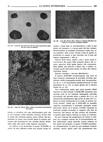 La nuova veterinaria rivista mensile fondata e diretta da Alessandro Lanfranchi