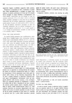 giornale/TO00190201/1939/unico/00000295