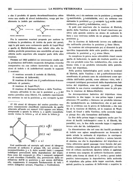 La nuova veterinaria rivista mensile fondata e diretta da Alessandro Lanfranchi