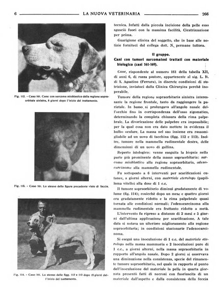 La nuova veterinaria rivista mensile fondata e diretta da Alessandro Lanfranchi