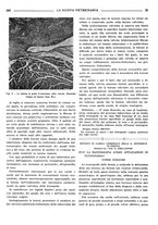 giornale/TO00190201/1939/unico/00000341