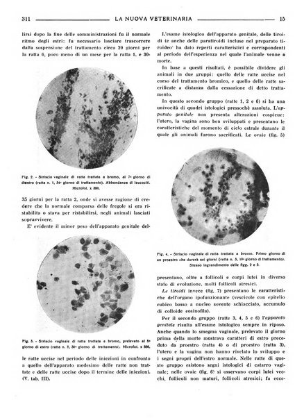 La nuova veterinaria rivista mensile fondata e diretta da Alessandro Lanfranchi