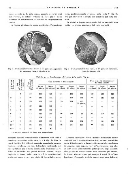 La nuova veterinaria rivista mensile fondata e diretta da Alessandro Lanfranchi