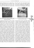giornale/TO00190201/1941-1942/unico/00000011