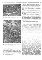 giornale/TO00190201/1941-1942/unico/00000050