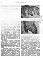 giornale/TO00190201/1941-1942/unico/00000067