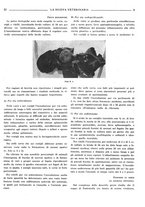 giornale/TO00190201/1941-1942/unico/00000071