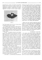 giornale/TO00190201/1941-1942/unico/00000072