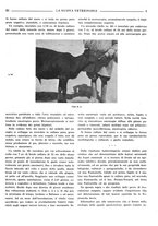 giornale/TO00190201/1941-1942/unico/00000079